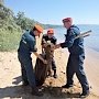 В рамках акции «Чистый берег» очищено 12 километров побережья