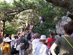 Методические экскурсии посетили более 150 крымских экскурсоводов и гидов-переводчиков