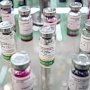 Саботаж? Крымские чиновники сознательно сорвали массовую вакцинацию животных