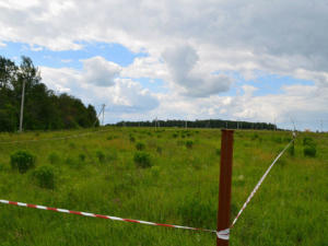 Крымчане стали чаще проводить межевание своих земельных участков, — Спиридонов