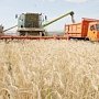 Аграрии Крыма запланировали собрать не менее 1,37 млн тонн зерновых и зернобобовых культур