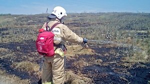 Возгорание сухой травы едва не привело к пожару на пшеничном поле в Кировском районе