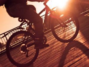 Центр велотуризма планируется открыть рядом с местом проведения «Тавриды»