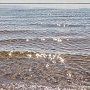 Обращение к Путину: Золотой пляж в Феодосии безжалостно уничтожается с ведома чиновников