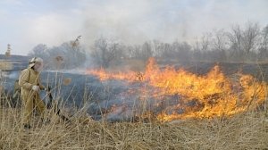 Крымские спасатели ликвидировали крупный пожар