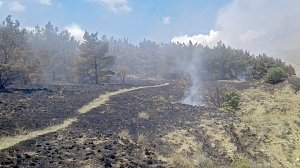 В районе Лисьей бухты в Крыму горит лес