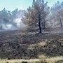 Лесная подстилка горит на склоне горы Эчки-Даг в Крыму