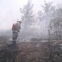 Сотрудники МЧС ликвидировали лесной пожар на южном склоне горы Эчки-Даг