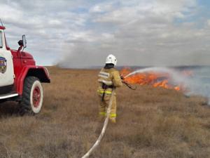 В Крыму за сутки ликвидировали пять пожаров, связанных с возгоранием сухой растительности