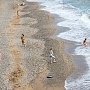 Опасно: в Крыму закрыли три пляжа