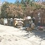 В Симферополе продолжается ликвидация стихийных мусорок на улицах города