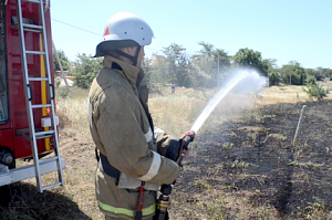 Севастопольские пожарные ликвидировали пожар площадью 800 м² на открытой территории – лавандовом поле