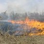 Крымские спасатели продолжают ликвидацию возгорания сухого камыша