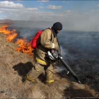 Крымские спасатели ликвидировали крупный пожар на пшеничном поле