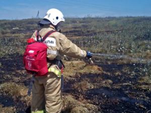 В Симферопольском районе огнеборцы ликвидировали пожар на пшеничном поле