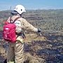 В Симферопольском районе огнеборцы ликвидировали пожар на пшеничном поле