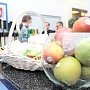 Аграрии вывезли из Крыма продукции на $7 млн