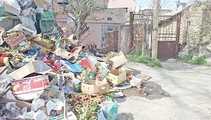 Контейнерная площадка в Симферополе сделала жителей заложниками мусорных залежей