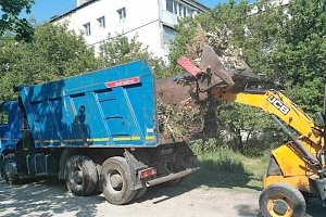 Работники совершают покос травы в Симферополе каждый день, — коммунальщики города