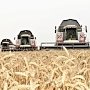 Крымские аграрии намолотили более 1,2 млн тонн зерна