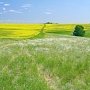 Пять земельных участков безвозмездно передадут в муниципальную собственность Черноморского района