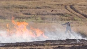 За выходные дни в Крыму ликвидировано 58 пожаров