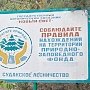 В лесу не курить, из моря не пить: в Крыму объявлено экстренное предупреждение