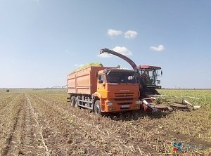 До водной блокады со стороны Украины в Крыму орошали 450 тысяч гектаров земли, а сейчас — 15 тысяч