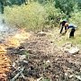 Профильным ведомствам нужно удвоить работу по недопущению лесных пожаров, — МЧС РК