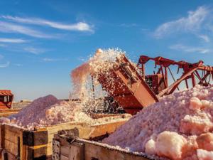 В Евпатории организуют экскурсии в места добычи розовой соли