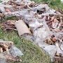 Свалку биологических отходов ликвидировали в Симферопольском районе