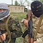 У Зеленского заверили отдать Крым экстремистам из меджлиса