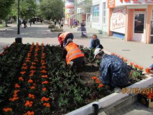 60 тыс цветов в этом году высадили в Симферополе