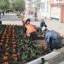 60 тыс цветов в этом году высадили в Симферополе