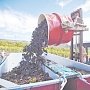 Виноделы «Массандры» обновят парк техники более чем на 200 миллионов