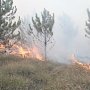 Локализован крупный лесной пожар в Белогорском районе