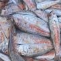 300 кг рыбной продукции без маркировки выявили в Керчи