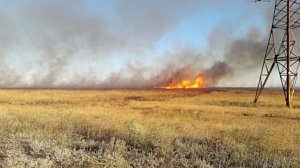 Не допустить возгорания в экосистемах Крыма