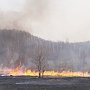 В КПРФ заявили: Лесные пожары в Сибири – экологическая катастрофа мирового уровня