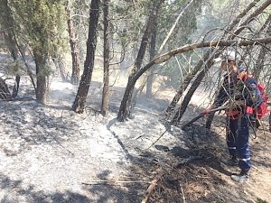 Пожар на горном хребте Кара-Бурун потушили в Крыму