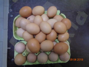 В Симферополе сотрудники местной администрации изъяли у «стихийщиков» 50 куриных яиц