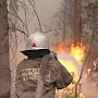 Возгорание лесной подстилки в поселке Орджоникидзе локализировано
