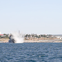 В Севастополе на траверзе мыса Толстый уничтожили бомбу SD — 50, обнаруженную в акватории Песочной бухты