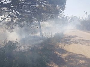 Севастопольские спасатели ликвидировали природный пожар