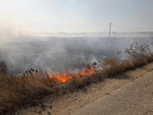 В Феодосийском районе огнеборцы ликвидировали возгорания травы площадью 8,5 га
