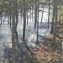 За прошедшие три дня крымские огнеборцы потушили 28 пожаров сухой травы
