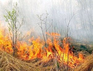 В Севастополе продолжает действовать повышенный класс пожарной опасности