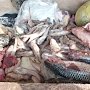 С 10 сентября возобновляется рыболовство черноморских кефалей