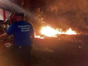 В крымской Долине роз произошёл пожар в лесном районе