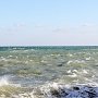 В Крыму вынесли приговор по делу о затоплении плавкрана и гибели людей поблизости от берегов Ялты